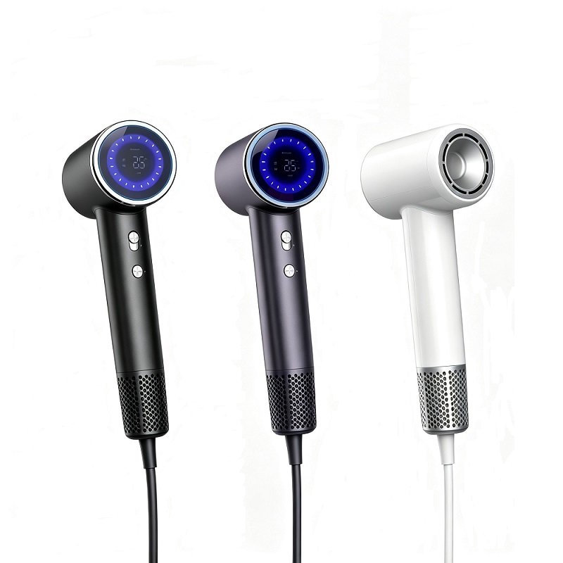 LT-1301 professional high-speed hair dryer