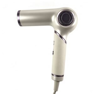 LT-1302 dual-voltage lightweight hair dryer