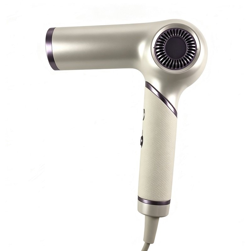 LT-1302 dual-voltage lightweight hair dryer